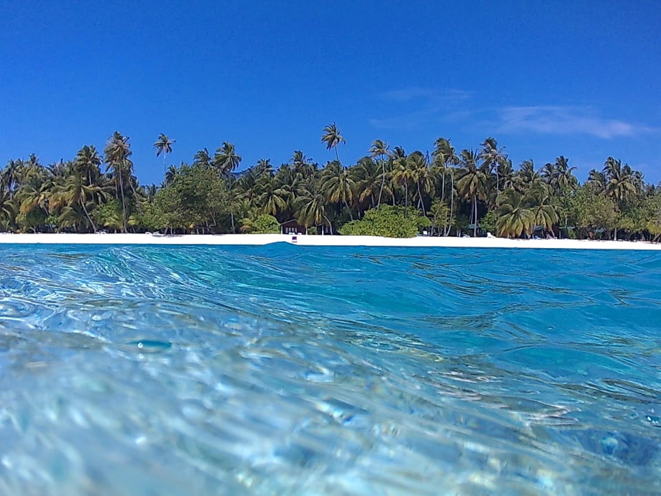 Ausblick auf die Insel beim Schnorcheln Meeru Maldives Resort Island