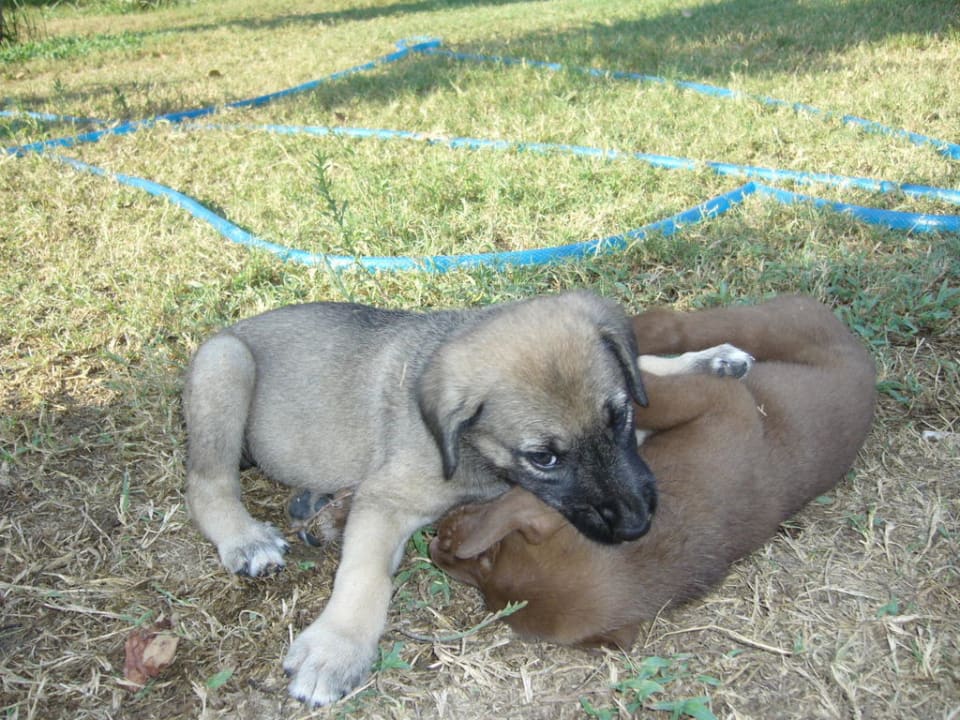 Sun Flipper Hotel Club Life Kizilot