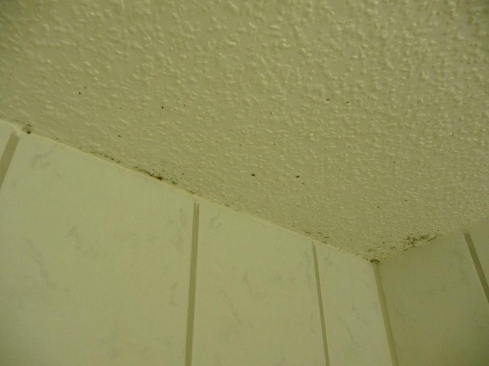 Badezimmer Pension Bolte