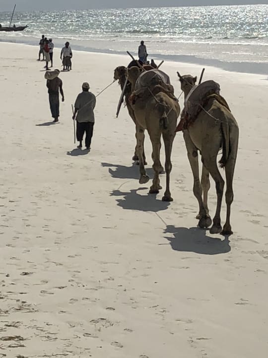 Strand Neptune Village Beach Resort & Spa