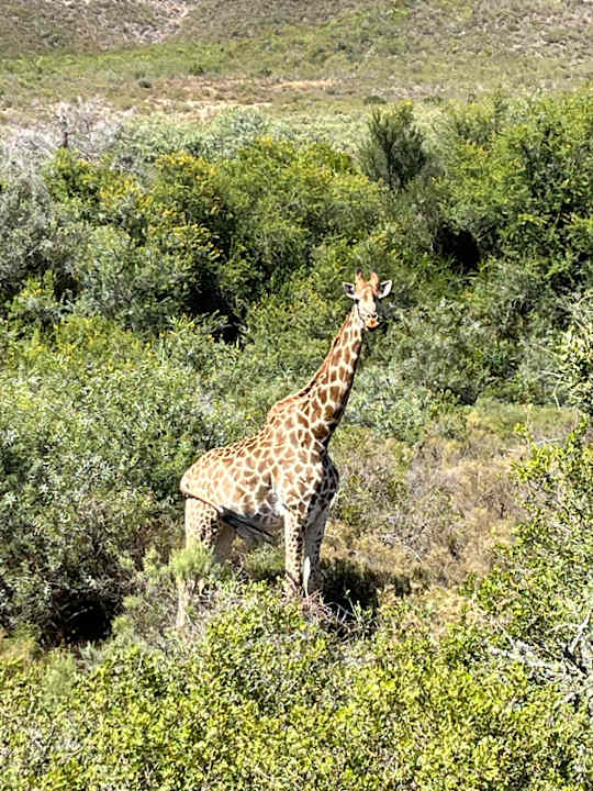 Sonstiges Melozhori Private Game Reserve