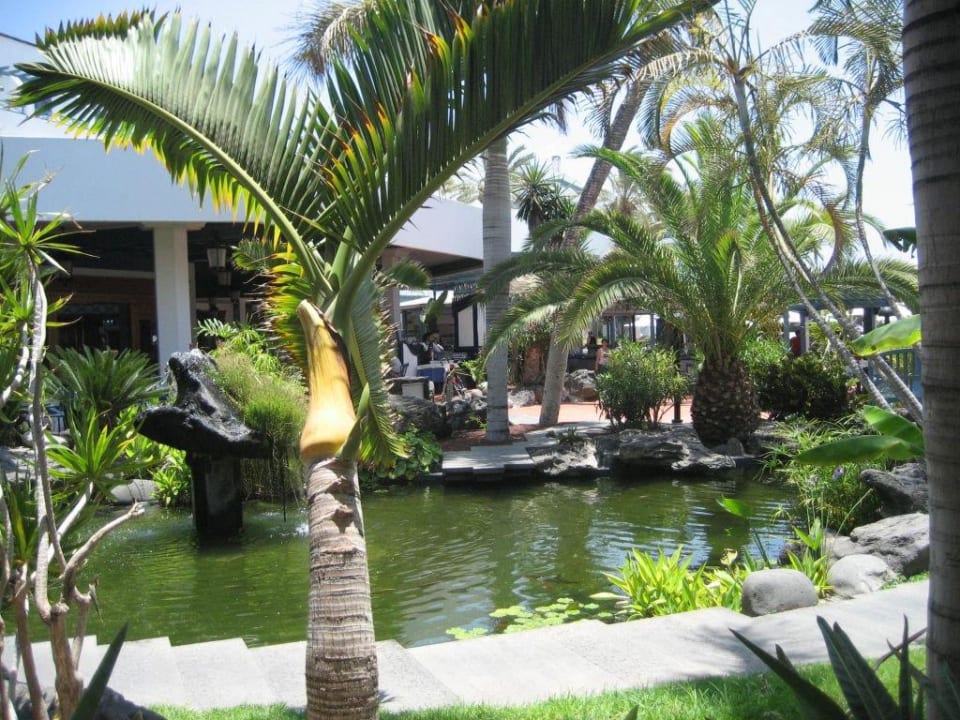 Laguna de peces Seaside Hotel Los Jameos