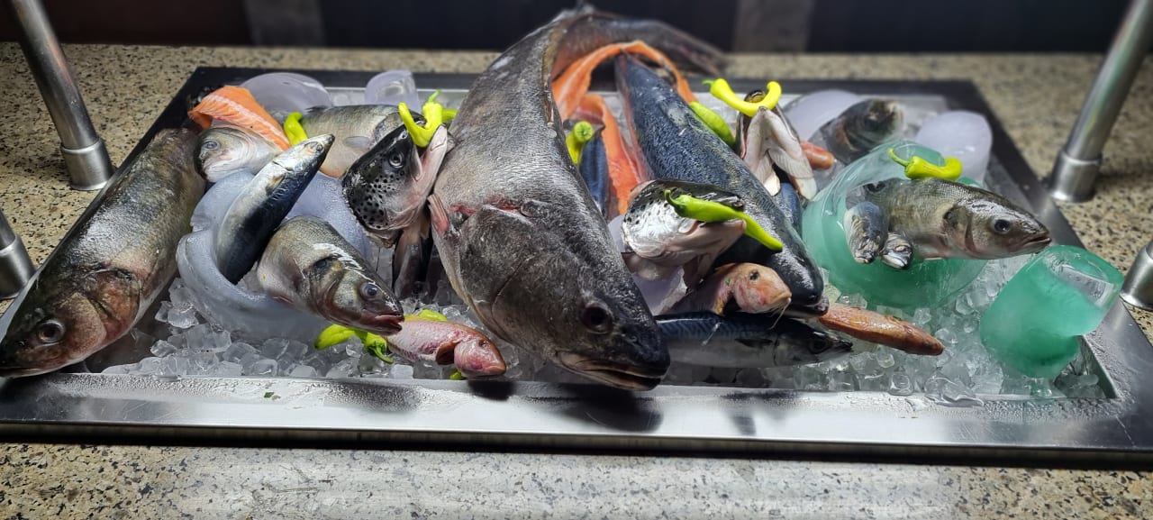 Gastro Jaz Makadi Oasis Resort