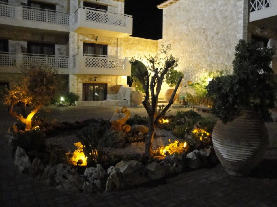 Garten bei Nacht Cactus Royal