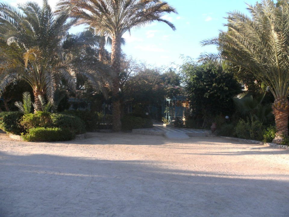 Blick Richtung Bungalows Giftun Azur Resort