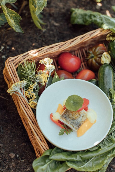 Gastro Theiner's Garten Bio Vitalhotel