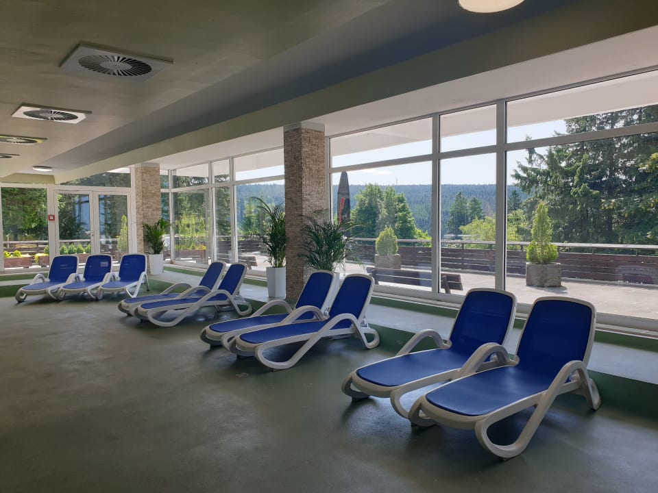 Pool AHORN Panorama Hotel Oberhof