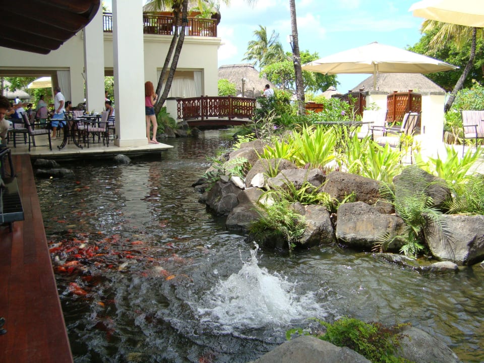 Sicht auf einen kleinen Teil der Hauptrestaurants Hilton Mauritius Resort & Spa