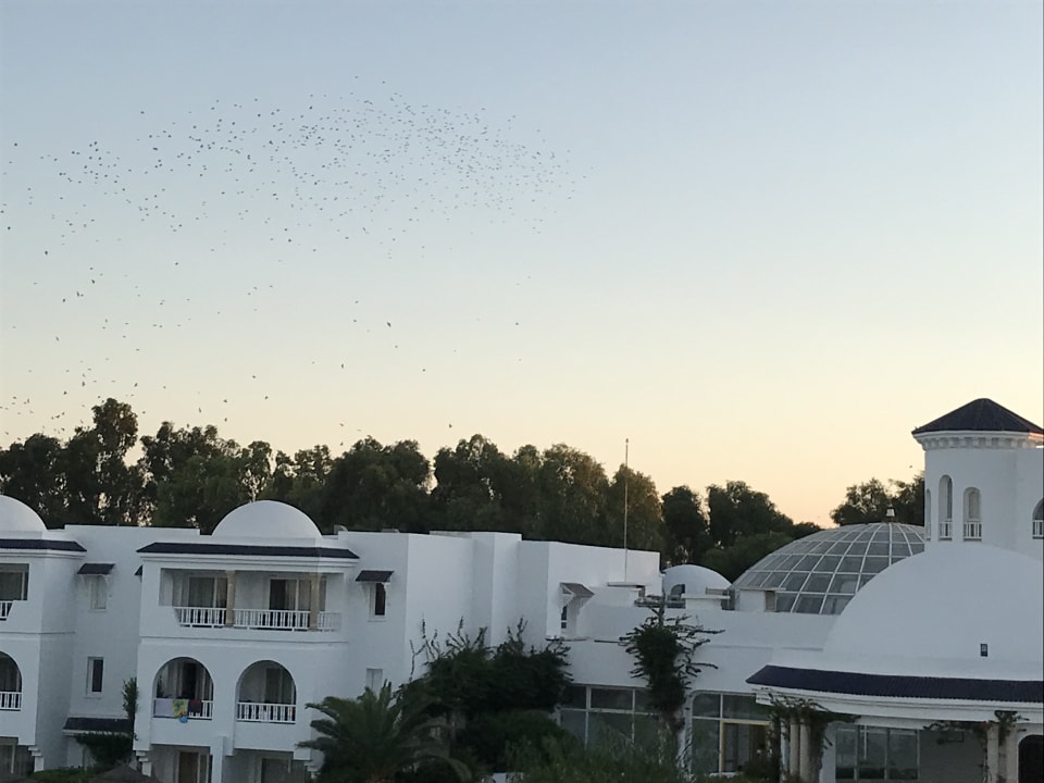 Außenansicht Royal Tulip Taj Sultan