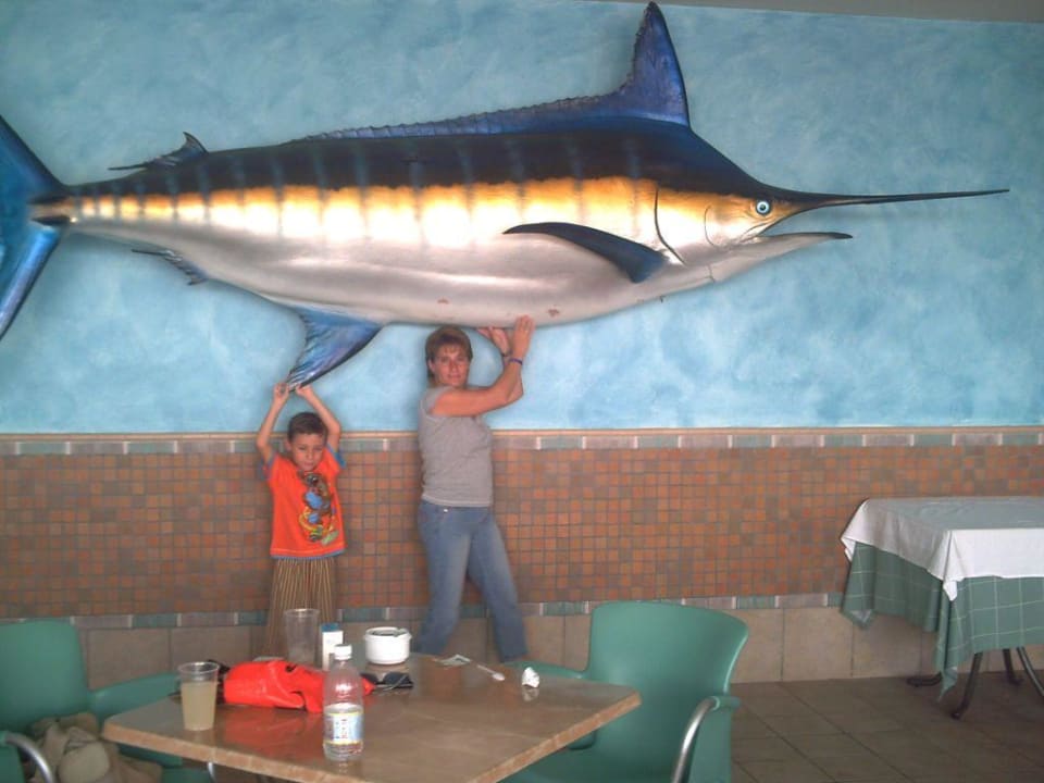 En el bar de la piscina, Hotel Las Costas
