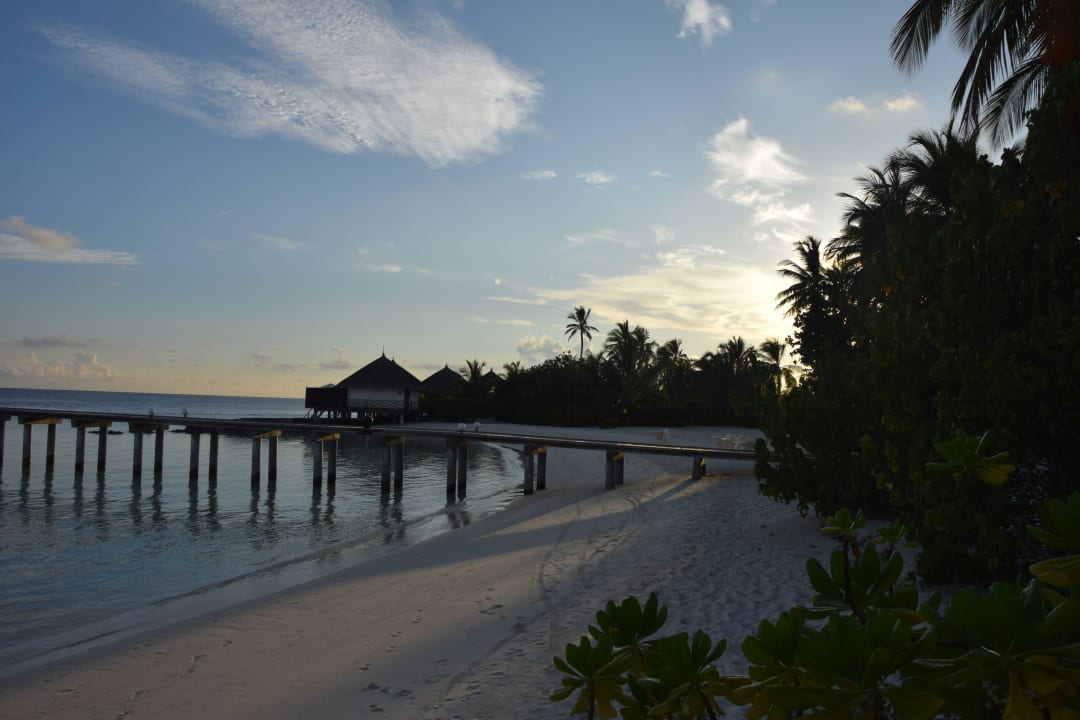 Steg zum Restaurant Safari Island Maldives