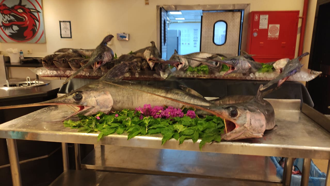 Gastro Cleopatra Luxury Resort Makadi Bay