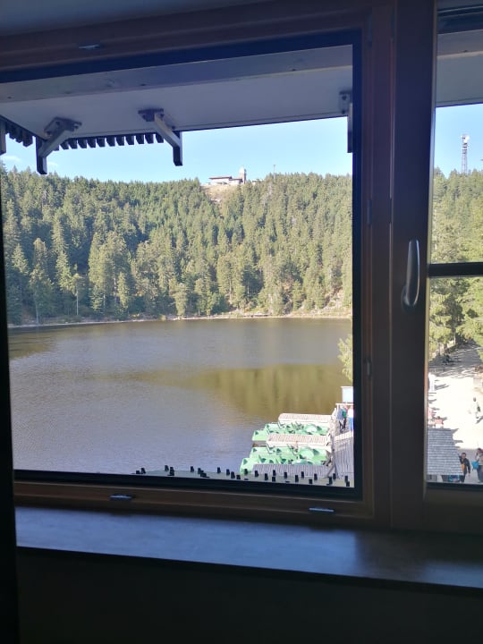 Zimmer Berghotel Mummelsee