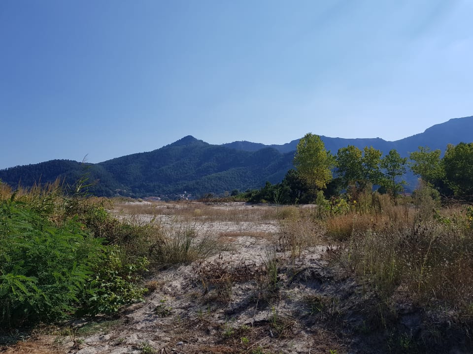 Ausblick Alexandra Golden Boutique - Adults only