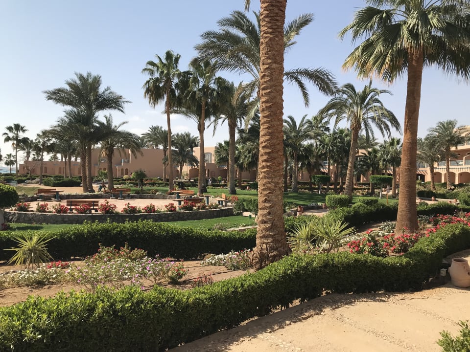 Gartenanlage Club Paradisio El Gouna, Red Sea