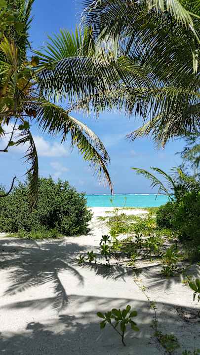 Ausblick  Summer Island Maldives