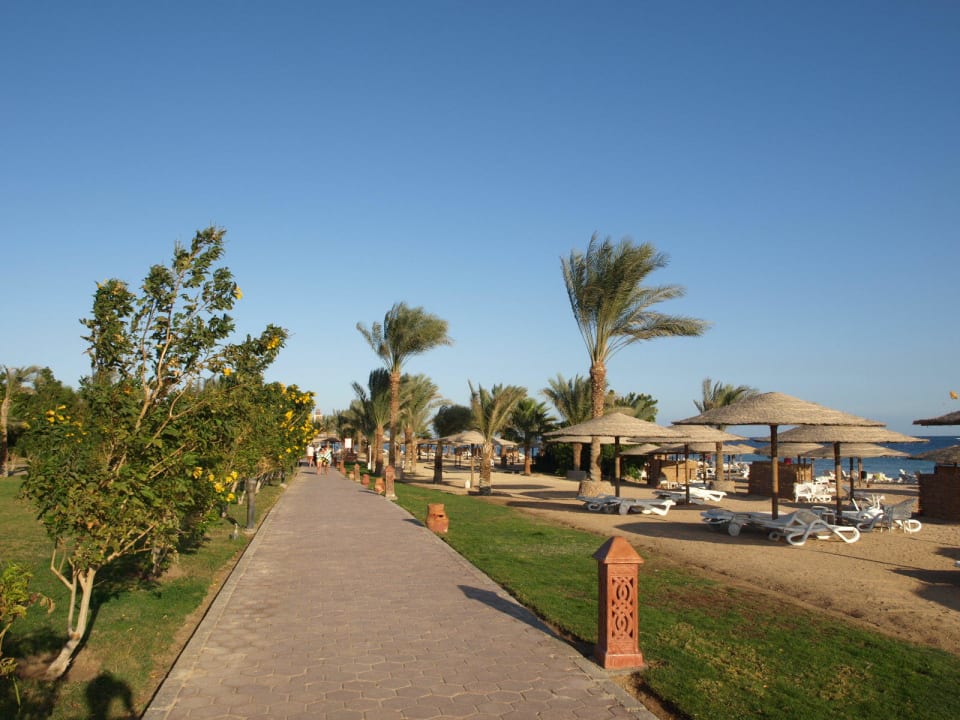 Gartenanlage Fort Arabesque Resort, Spa & Villas