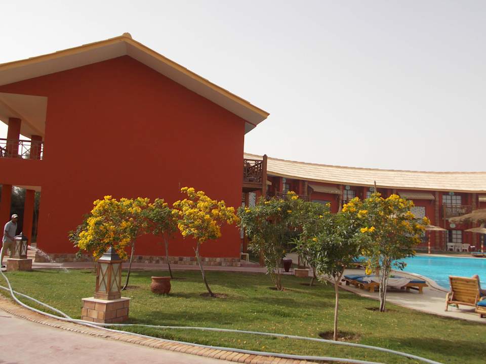 Бассейн Pickalbatros Alf Leila Wa Leila Resort - Neverland Hurghada