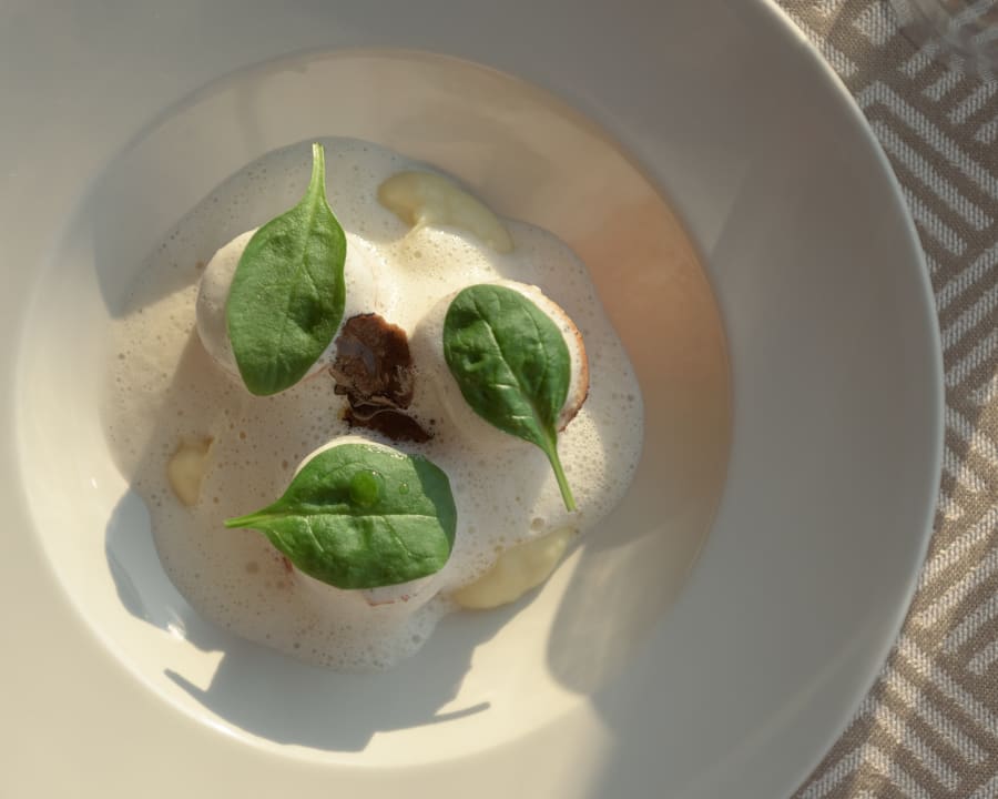 Gastro Paralos Venus Suites