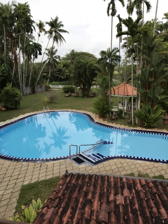 Pool Ayubowan Swiss Lanka Bungalow Resort