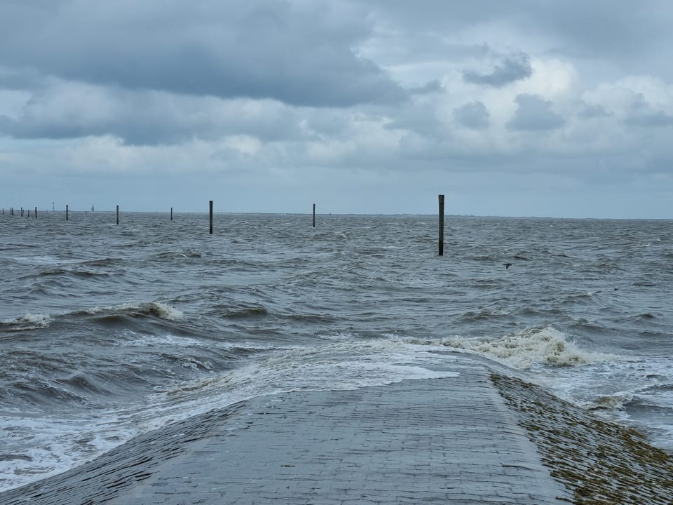 Ausblick Fliegerdeich Hotel & Restaurant