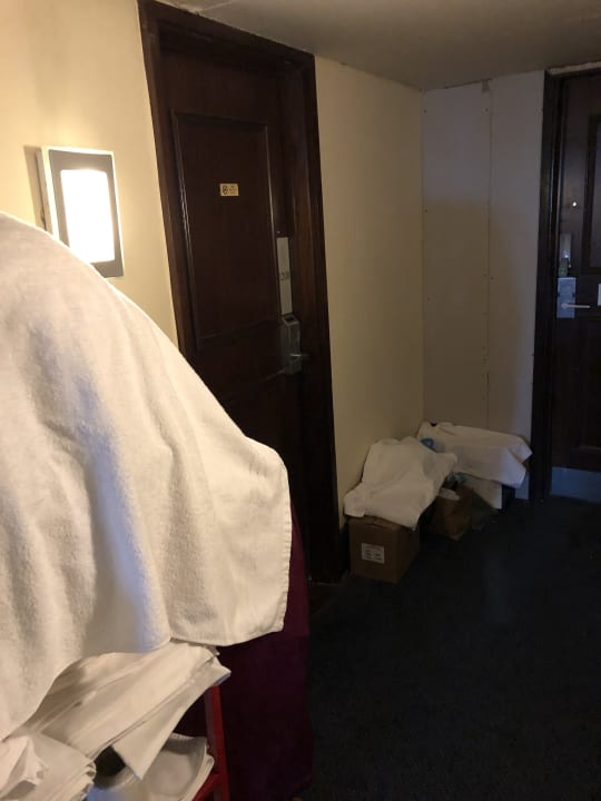 Zimmer Treehouse Hotel London