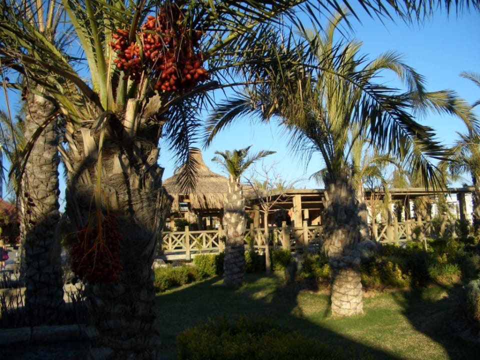 Gartenanlage Royal Wings Hotel