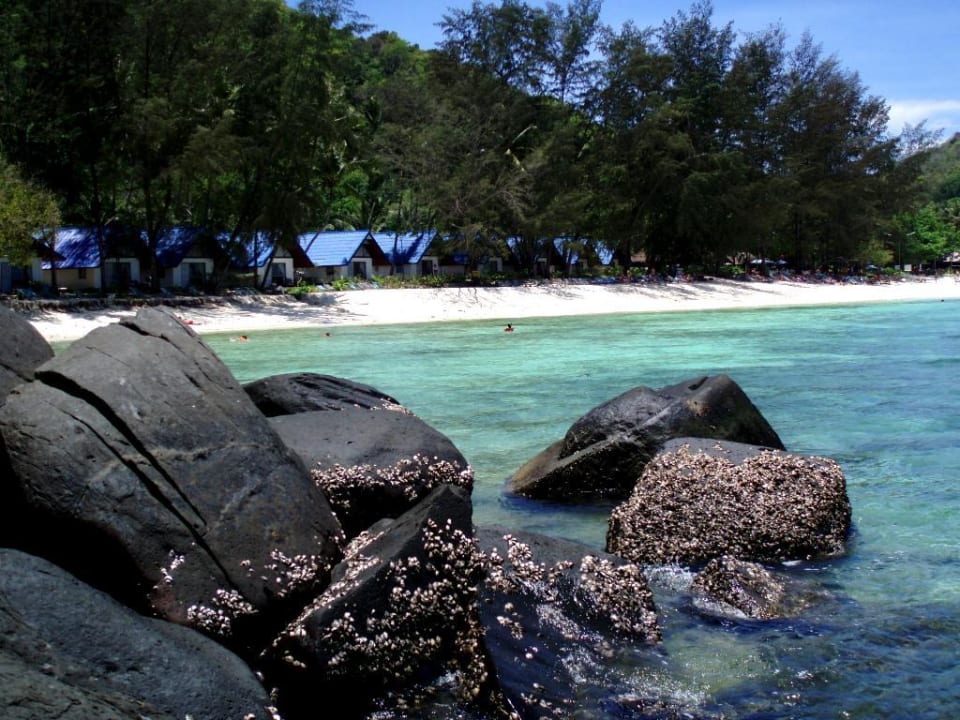 Blick auf die Anlage Hotel Coral Island Resort