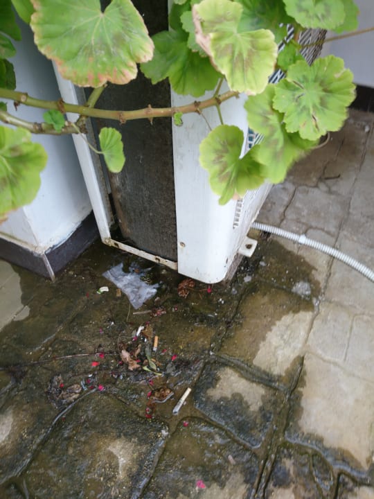 Gartenanlage Sandy Beach Resort