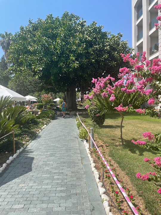 Gartenanlage Horus Paradise Luxury Resort & Club