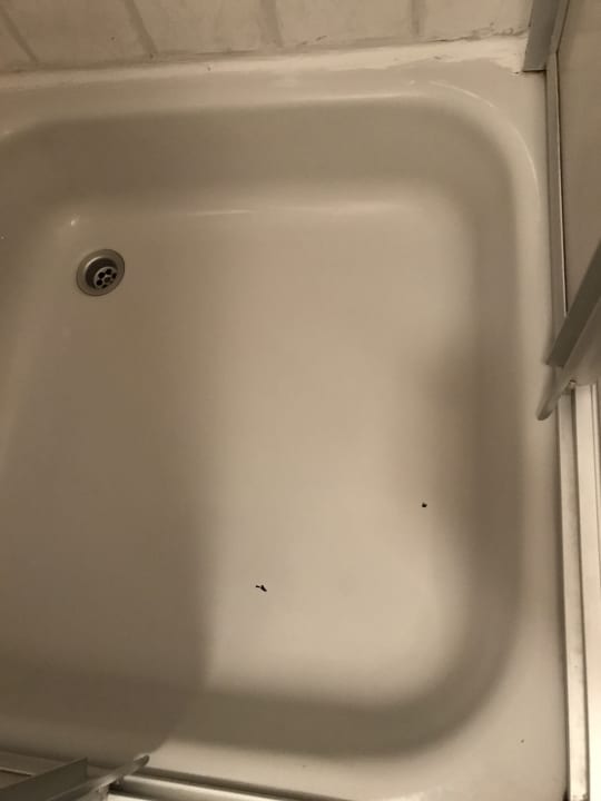 Zimmer Pension Am Deich