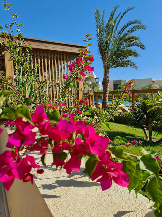 Gartenanlage JAZ Elite Riviera