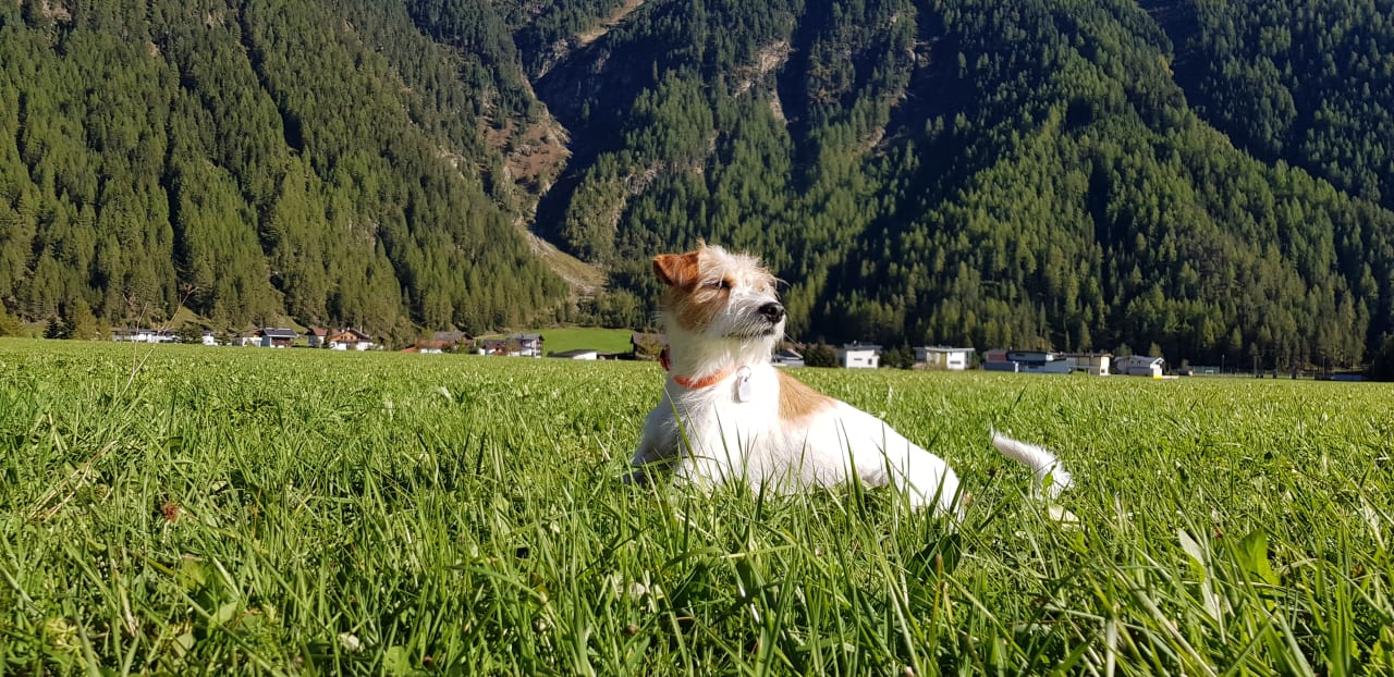 Gartenanlage Hotel Tauferberg