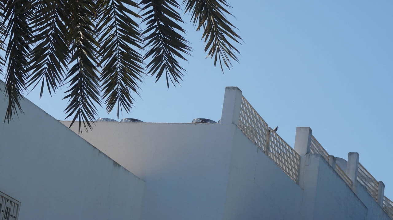 So blau war der Himmel jeden Tag The Orangers Beach Resort and Bungalows