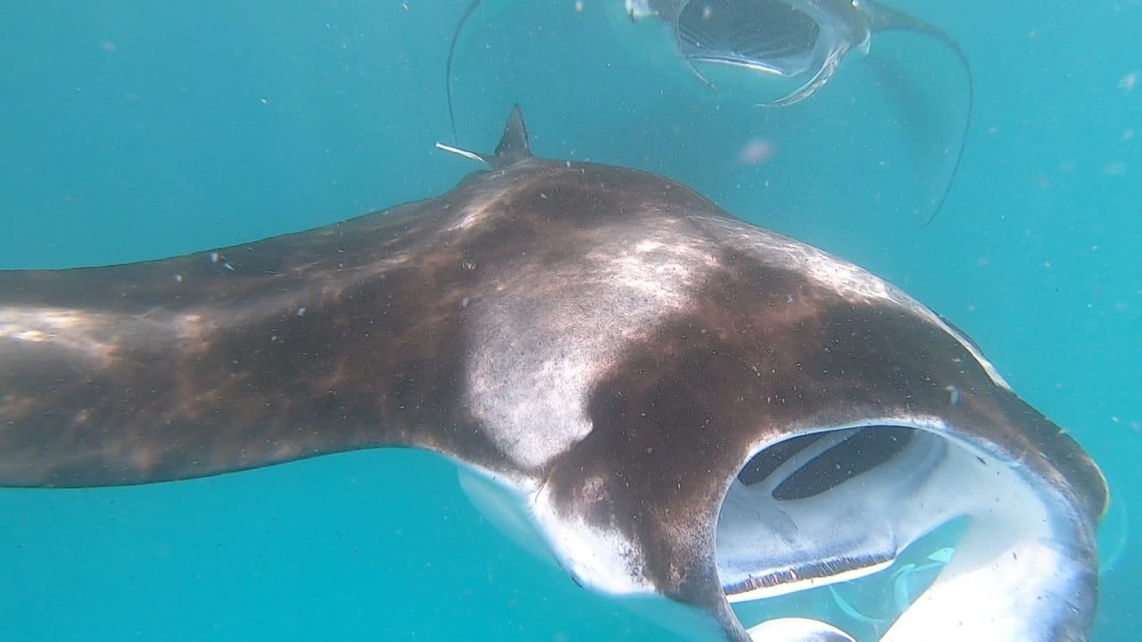 Sport & Freizeit NH Collection Maldives Reethi Resort