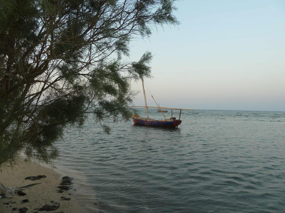 Strand nahe der Tauchbasis Shams Alam Beach Resort