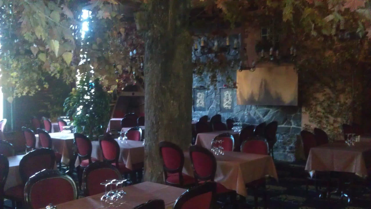 Mit Baum in der Mitte Scandic Vaasa