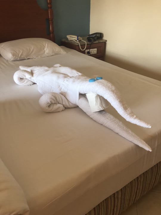 Zimmer Titanic Beach Spa & Aqua Park