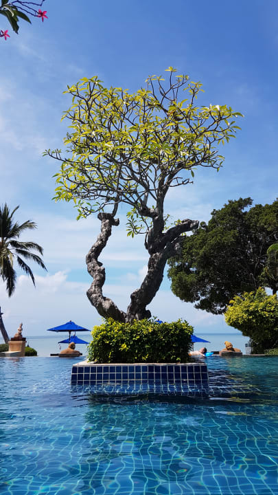 Pool Renaissance Koh Samui Resort & Spa