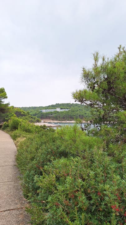 Sonstiges Hotel Aurora