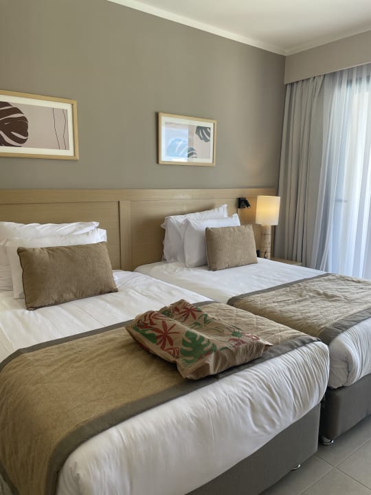 Zimmer JAZ Elite Amara