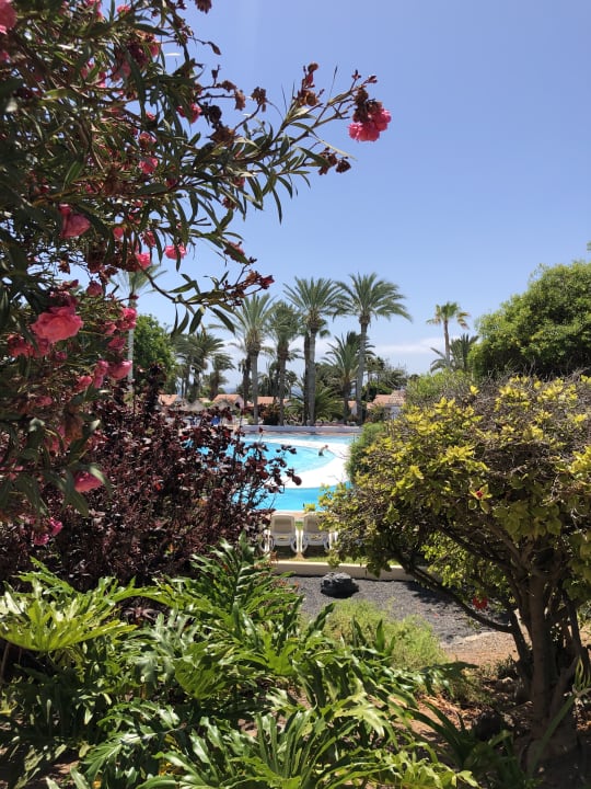 Gartenanlage Aldiana Club Fuerteventura
