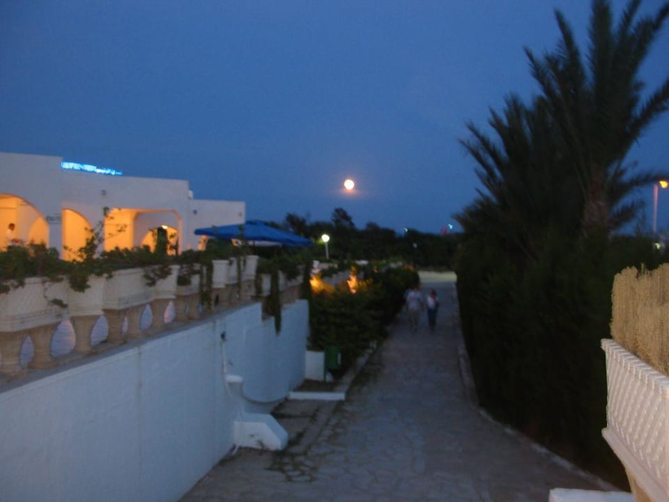 Weg zum Strand Hotel Sunnydays L'Albatros/Albatros