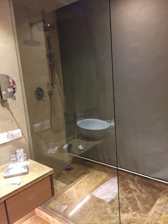 Zimmer Radisson Blu Hotel New Delhi Dwarka