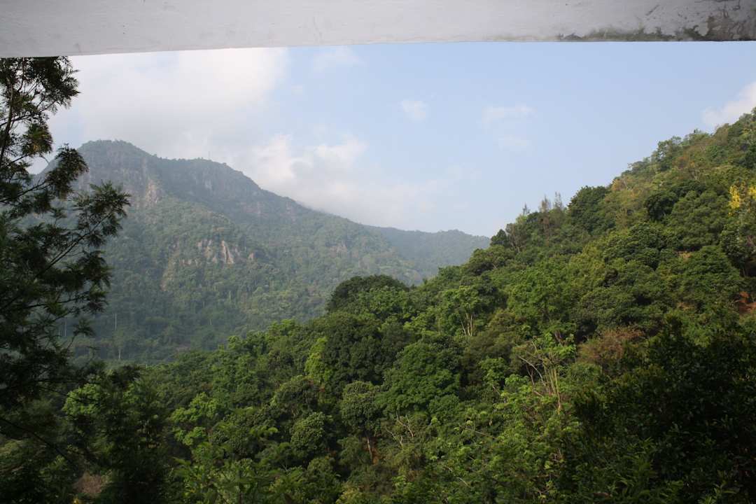 Erholsamer Blick ins Grüne Kurumba Village Resort