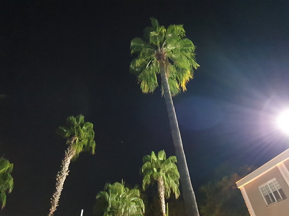 Gartenanlage Club Sidelya Hotel