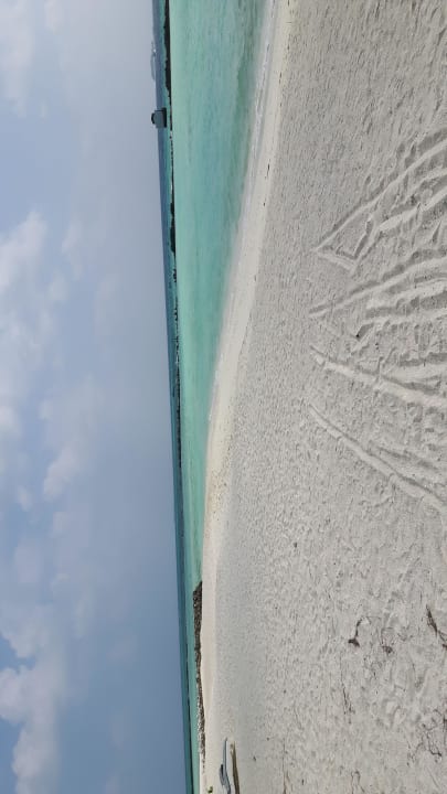 Strand Summer Island Maldives