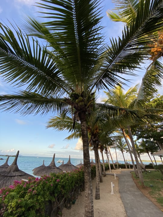 Ausblick Lagoon Attitude - Adults only