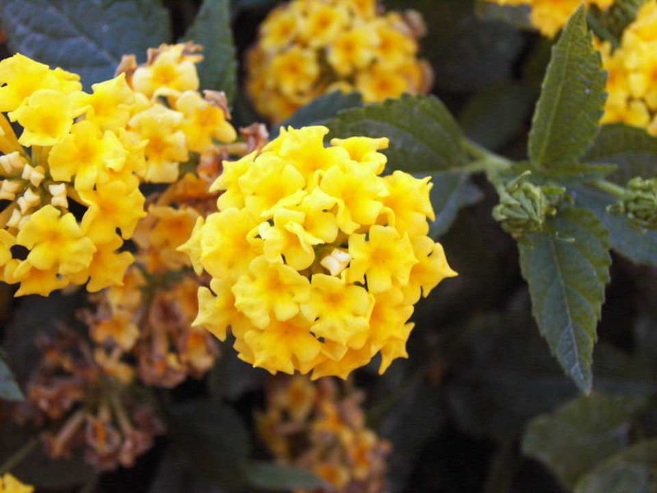 Hauza Hotel Hauza Beach Resort