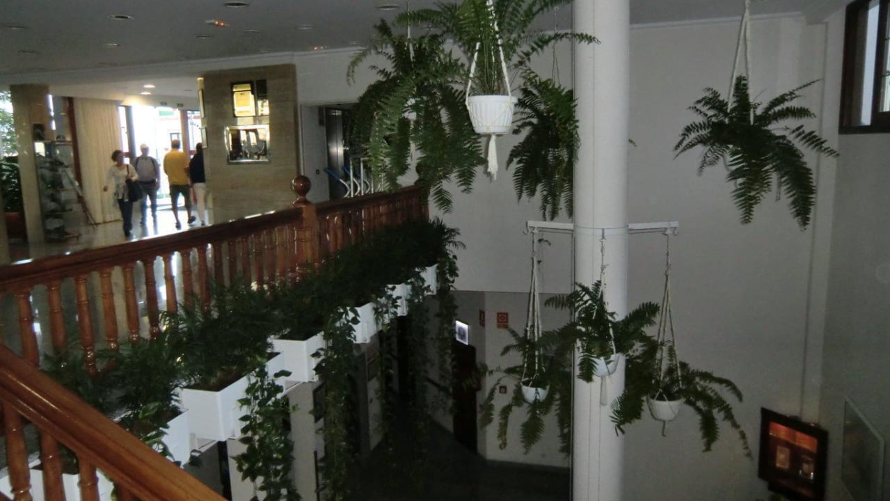 Pflanzen Apartamentos Casablanca